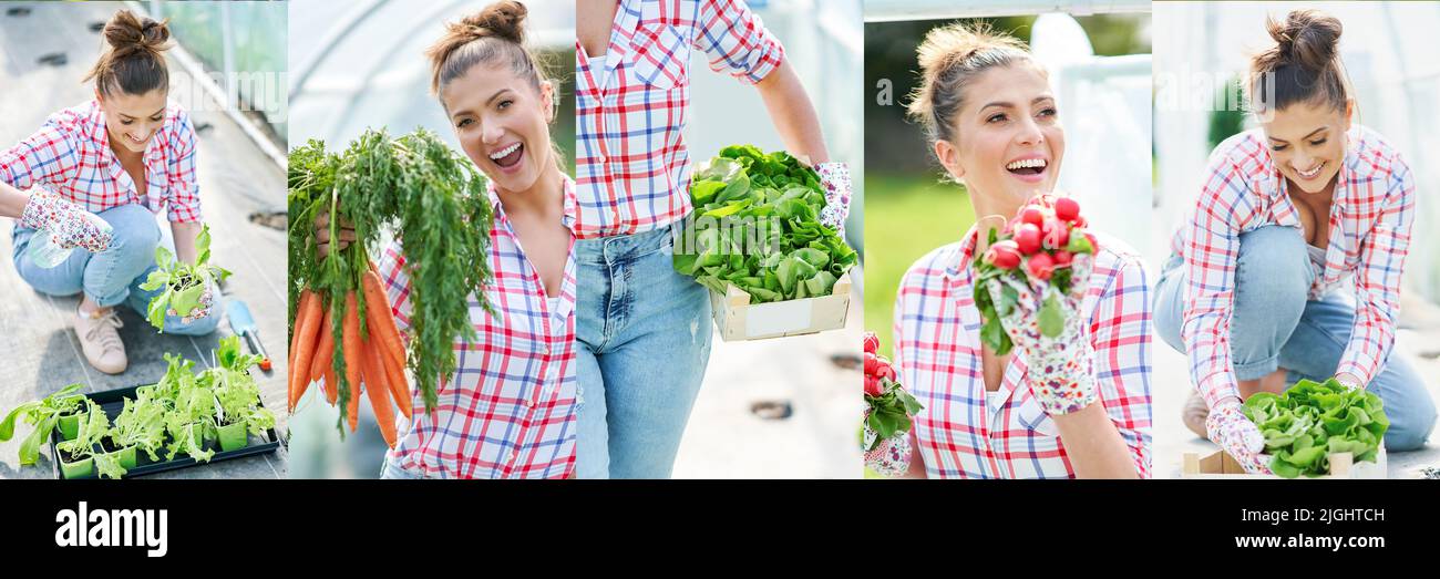Schöne Bildcollage von jungen Gärtnerin arbeiten Stockfoto