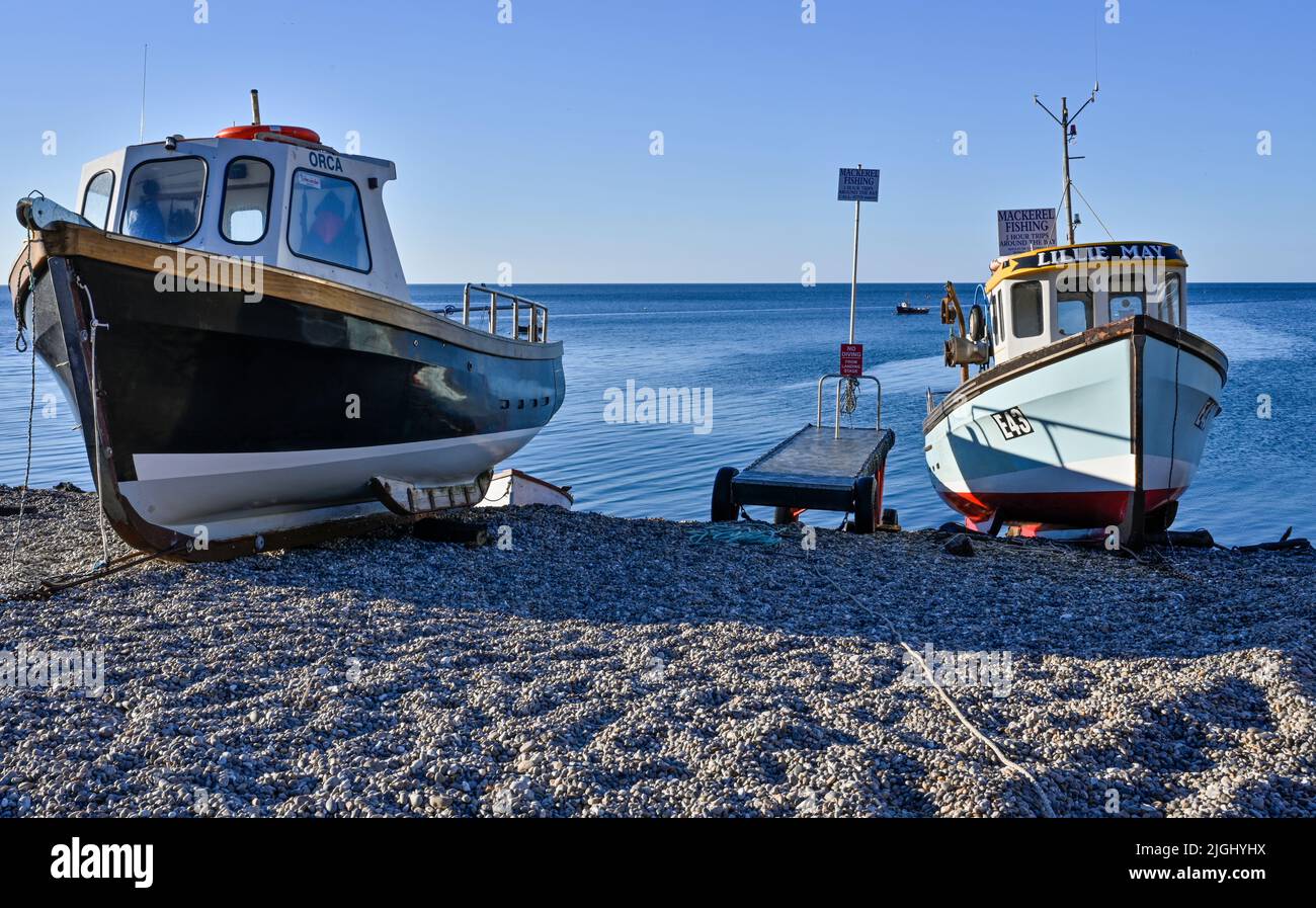 Bier Devon Makrelenangeln Boote am Strand Stockfoto