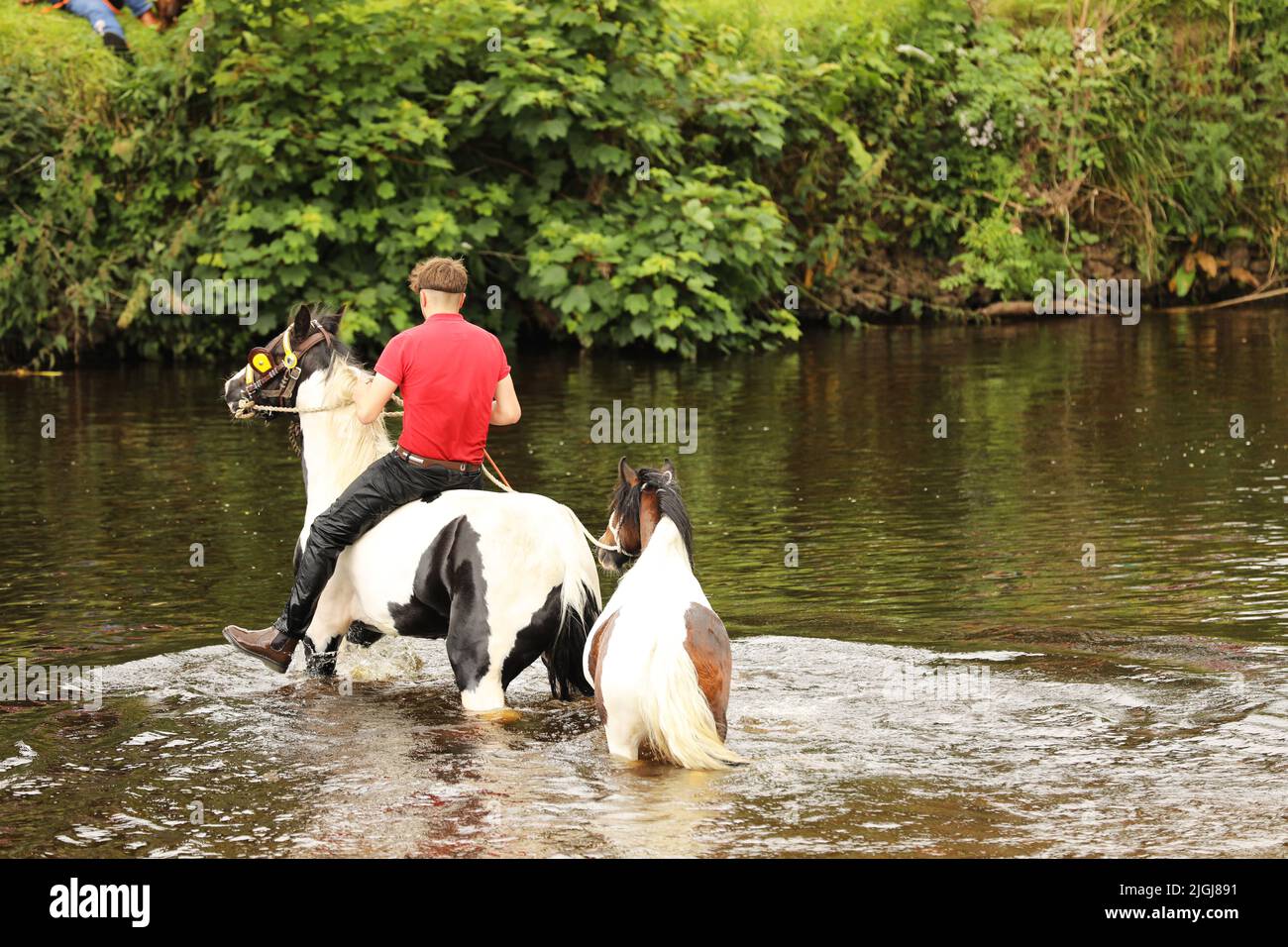 Ein junger erwachsener Mann, der auf einem Pferd reitet und ein Pony durch den Fluss Eden führt, Appleby Horse Fair, Appleby in Westmorland, Cumbria Stockfoto