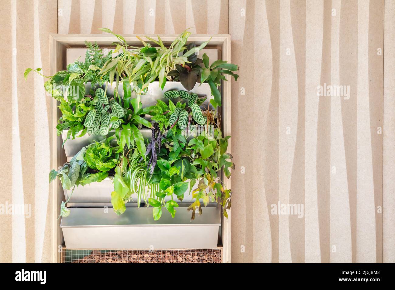 Öko-Metall-Pflanzgefäße mit grünen Pflanzen vor einer bio-basierten Hauswand aus organischen Materialien Stockfoto