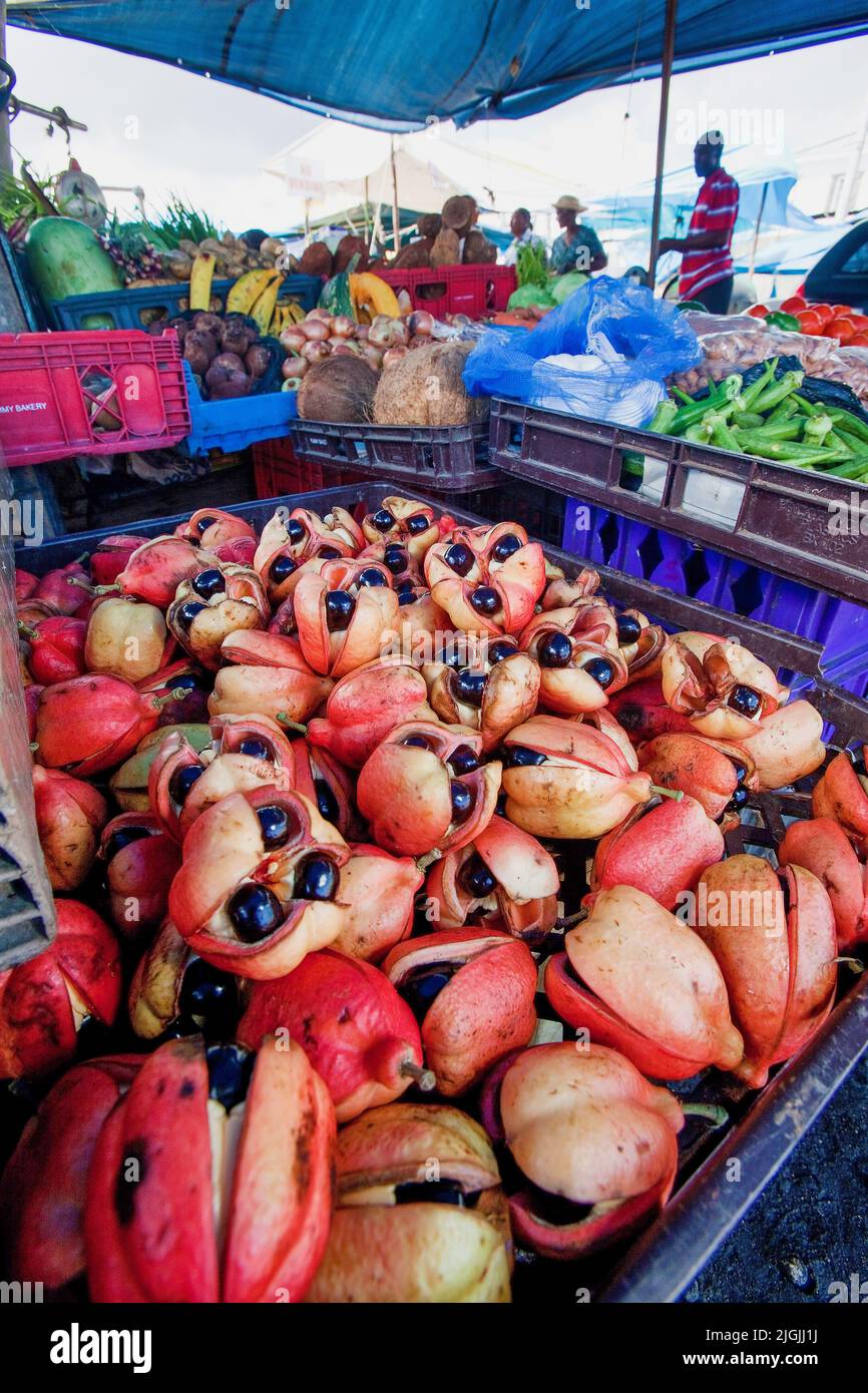 Jamaika, Ocho Rios, Ackee Fruit wird auf dem Markt verkauft. Ackee ist die nationale Frucht, die als Zutat in der Nationalspeise Salzfisch verwendet wird. Stockfoto