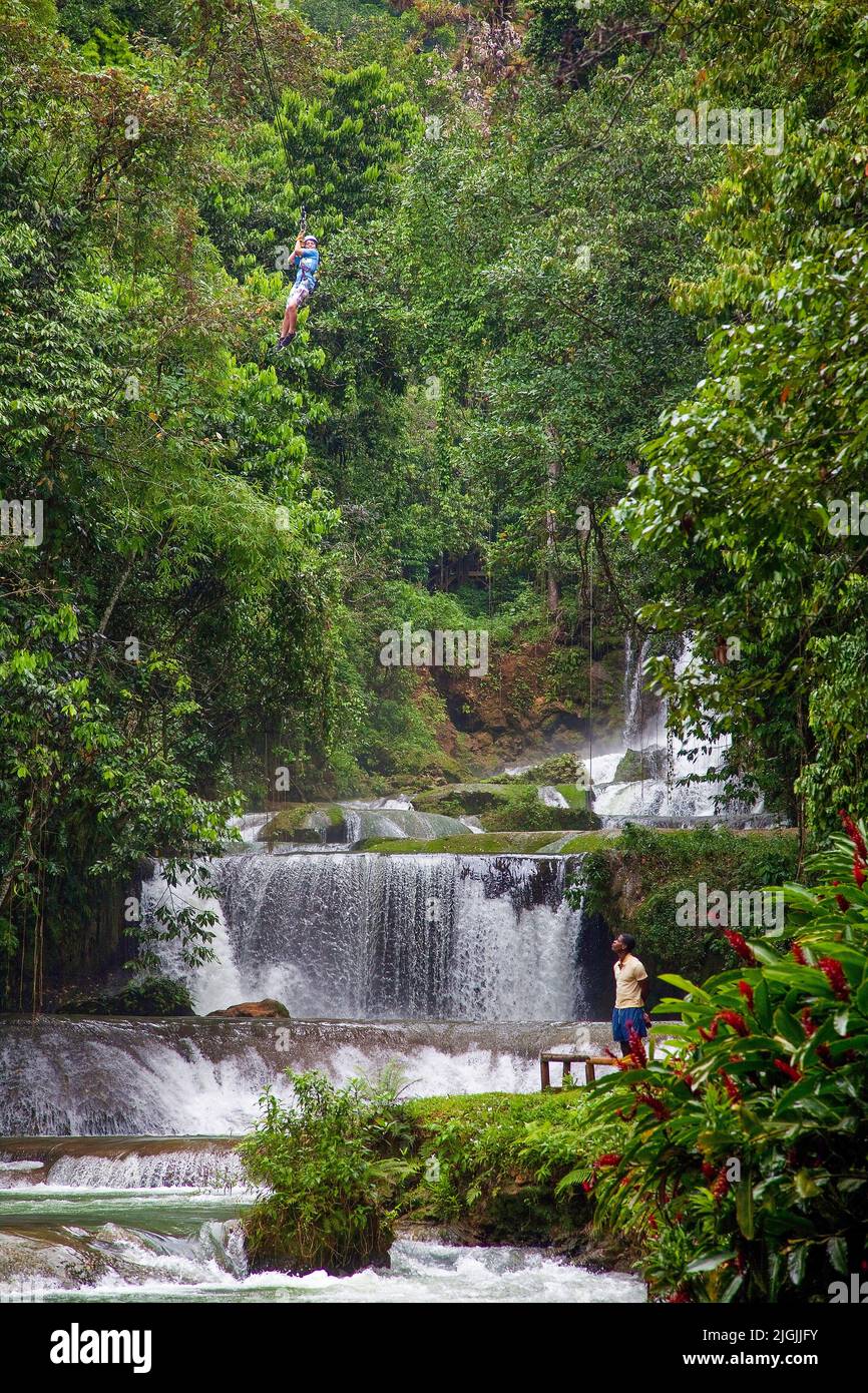 Jamaika, YS Wasserfälle in der St. Elizabeth Paraish oder Provinz. Eine der Attraktionen hier ist es, mit einer Seilrutschen über die Wasserfälle zu gleiten. Stockfoto
