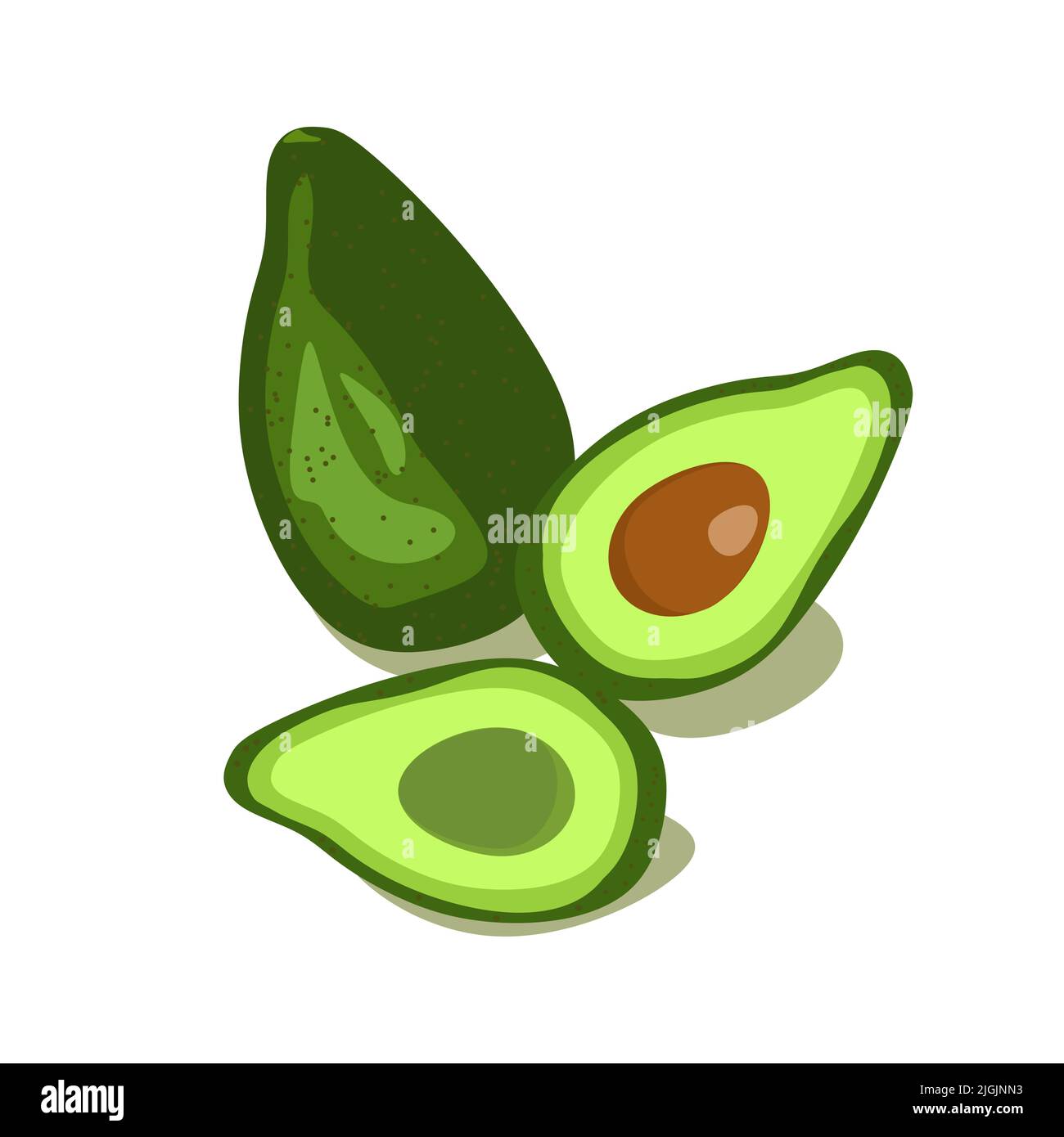 Ganze Avocado und Avocado in Cut Vector Clipart Illustration Stock Vektor