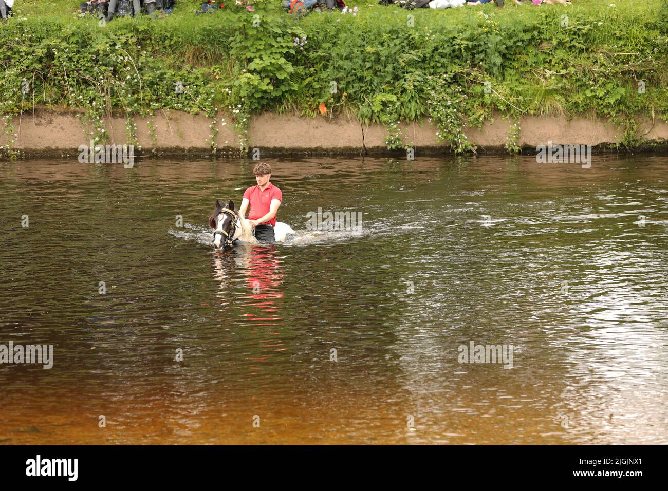 Ein junger erwachsener Mann, der sein Pferd durch den Fluss Eden, Appleby Horse Fair, Appleby in Westmorland, Cumbria reitet Stockfoto