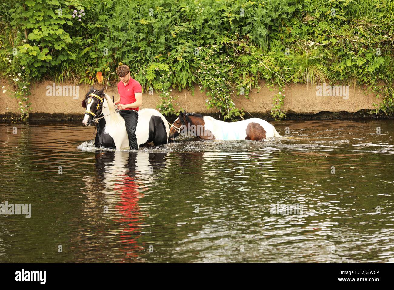 Ein junger erwachsener Mann, der auf einem Pferd reitet und ein Pony durch den Fluss Eden führt, Appleby Horse Fair, Appleby in Westmorland, Cumbria Stockfoto