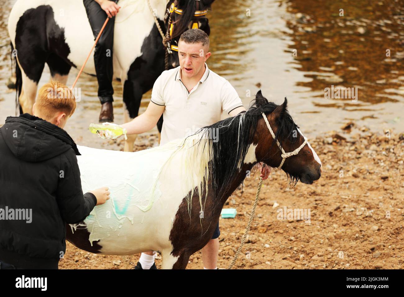 Ein farbiges Pony, das vom Fluss Eden, der Appleby Horse Fair und Appleby in Westmorland, Cumbria gewaschen wird Stockfoto