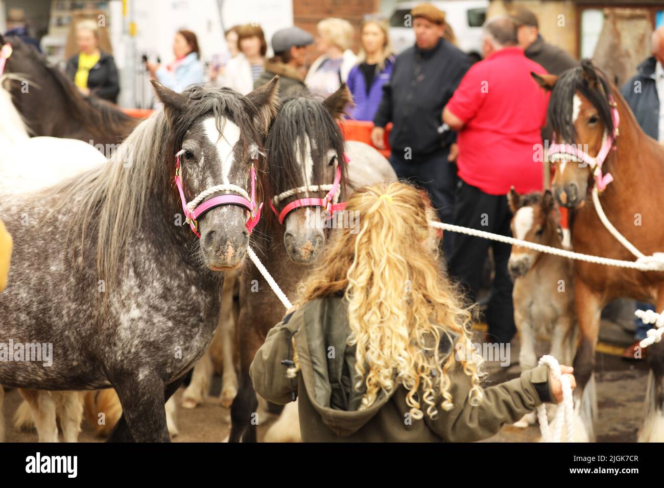 Appleby Horse Fair, Appleby in Westmorland, Cumbria Stockfoto