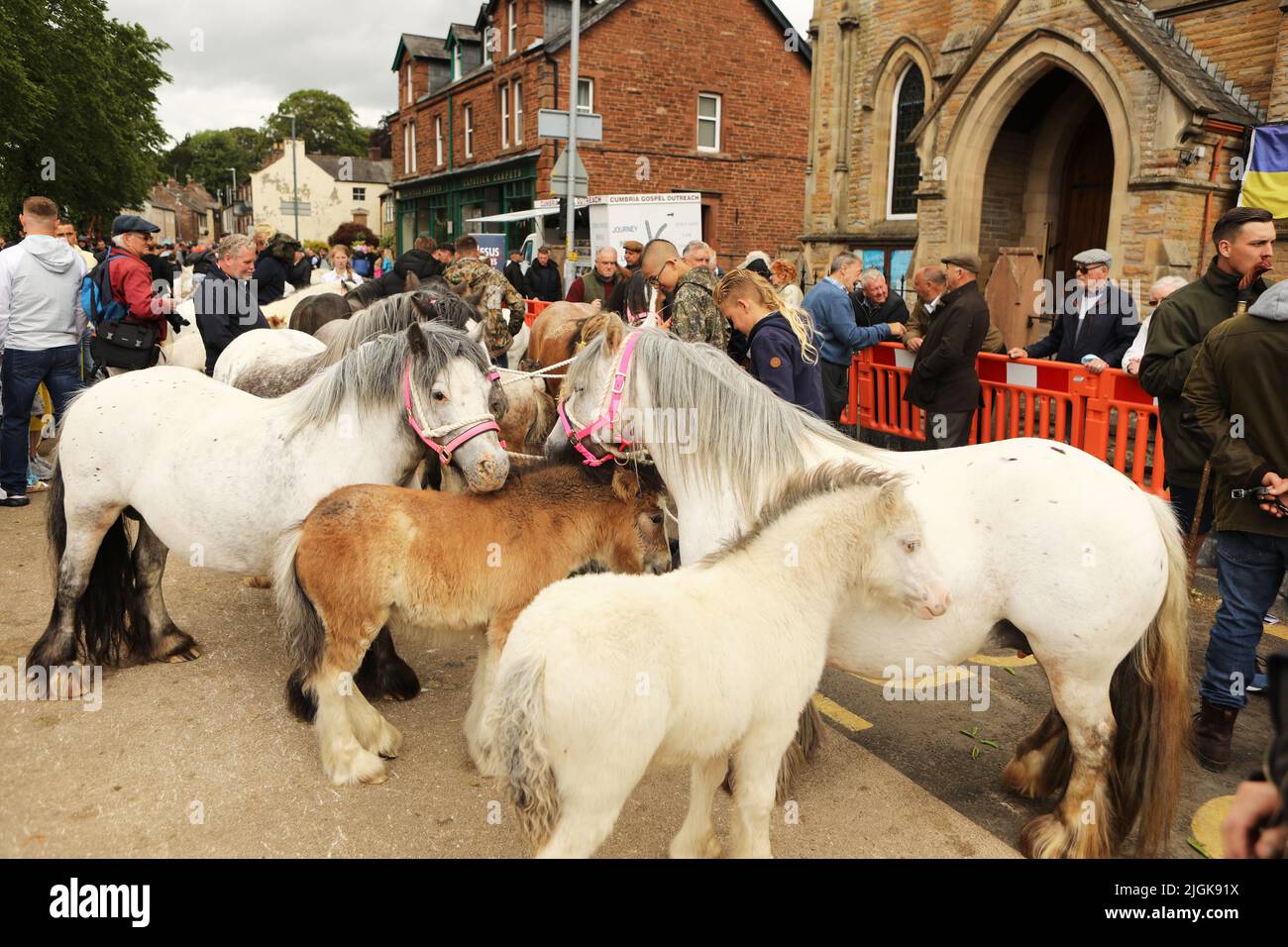 Stuten und ihre Fohlen auf der Straße, Appleby Horse Fair, Appleby in Westmorland, Cumbria Stockfoto