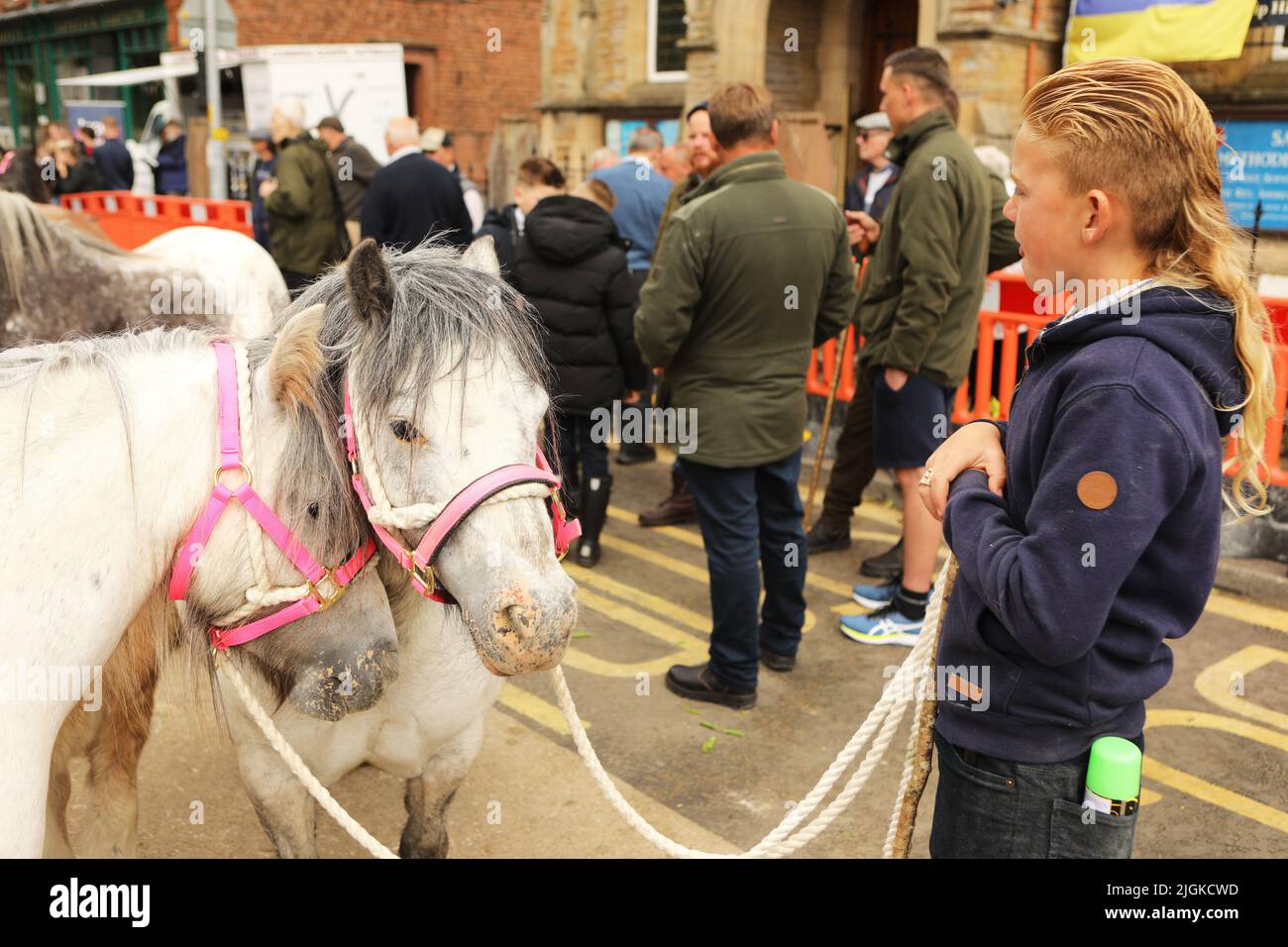 Ein kleiner Junge mit zwei grauen Ponys, Appleby Horse Fair, Appleby in Westmorland, Cumbria Stockfoto