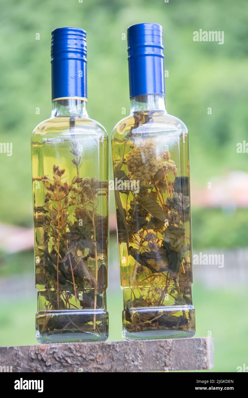 Aromatischer hausgemachter und sehr gesunder Brandy (serbischer Rakija) mit verschiedenen Kräutern in der Flasche, perfektes dekoratives Geschenk Stockfoto