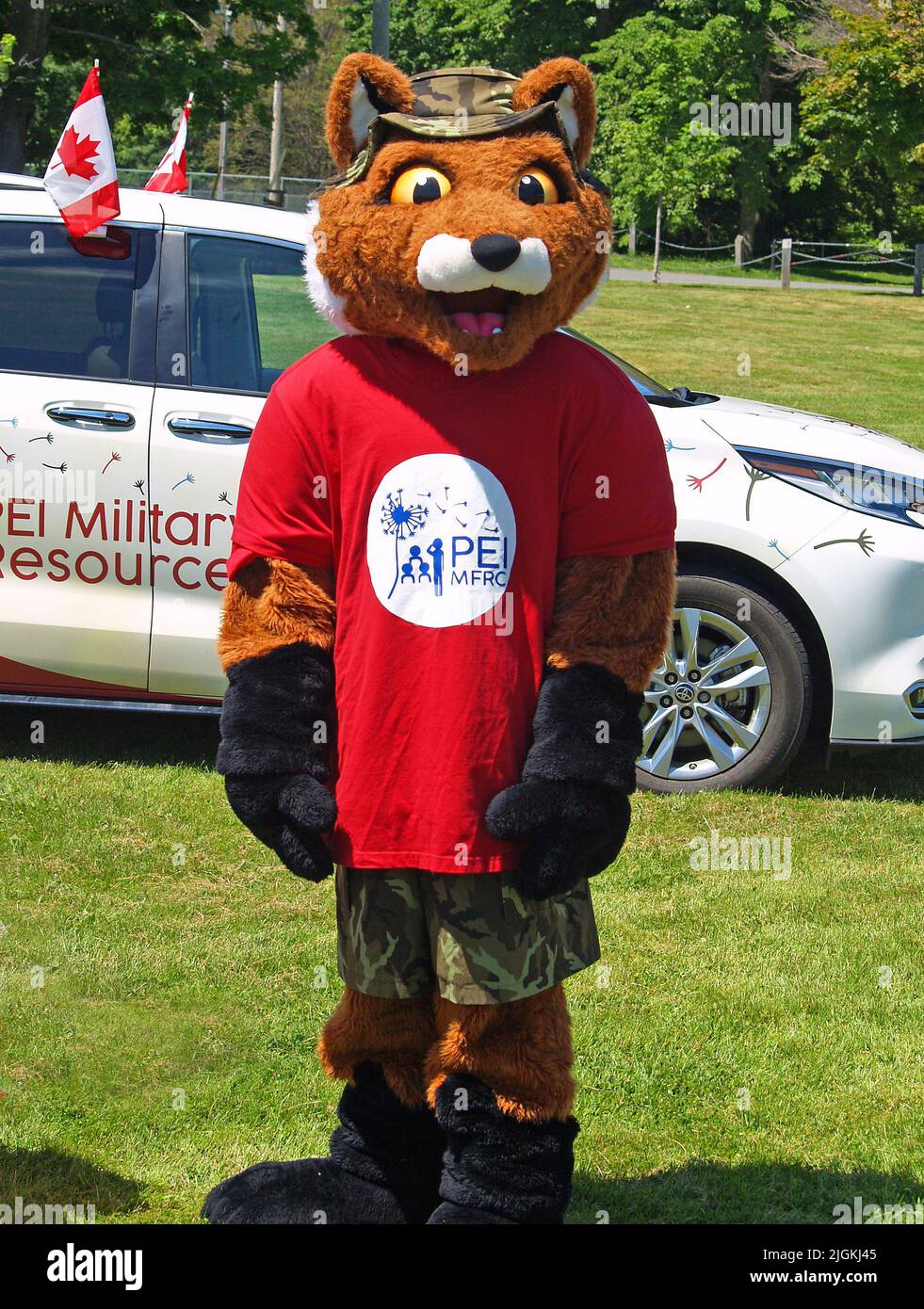 Maskottchen Fuchs bei den Feierlichkeiten zum Canada Day, Charlottetown, PEI Stockfoto