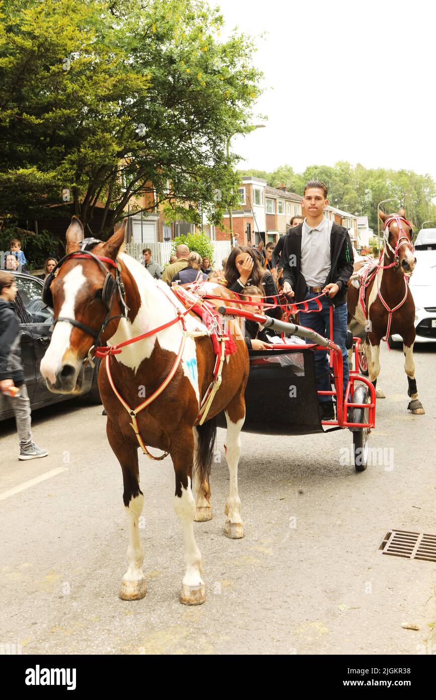 Ein buntes Pferd, das eine Falle entlang der Straße zieht, Appleby Horse Fair, Appleby in Westmorland, Cumbria Stockfoto