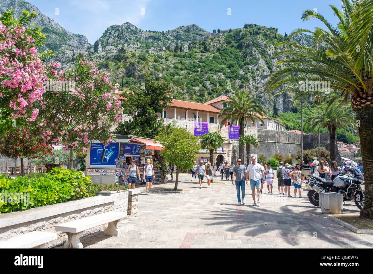 Square of the Arms, Kotor, Dalmatien, Montenegro Stockfoto