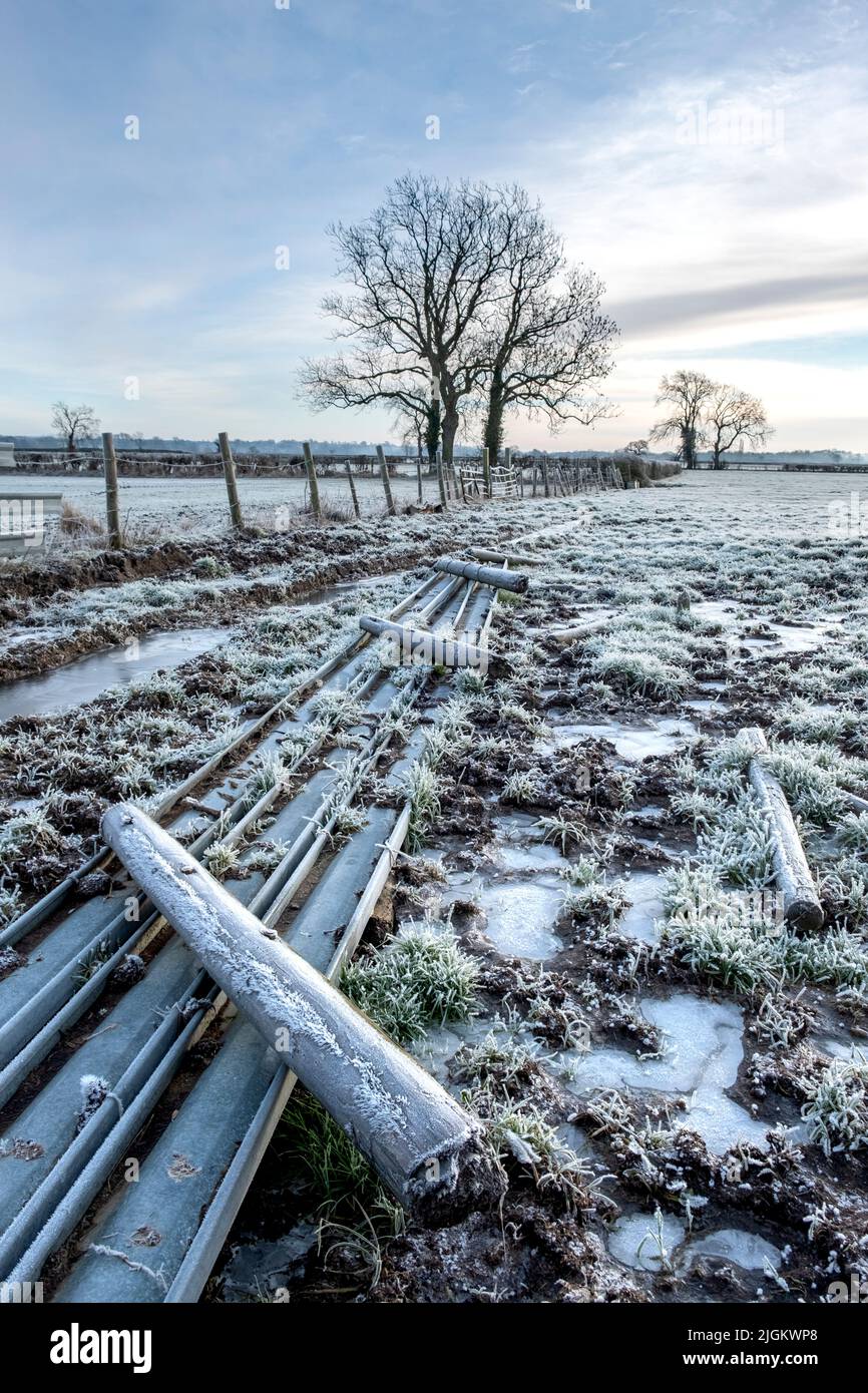 Frostiger Morgen, gefrorene Pfützen und Reif auf einem Feld in North Yorkshire Stockfoto