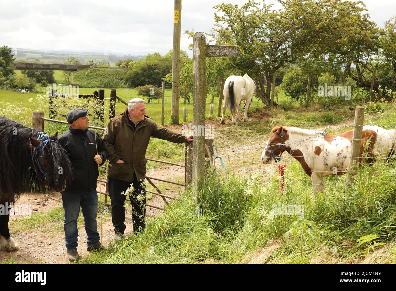 Zwei ältere Männer stehen mit einem dunkelbraunen Pferd und reden. Appleby Horse Fair, Appleby in Westmorland, Cumbria, England, Vereinigtes Königreich Stockfoto