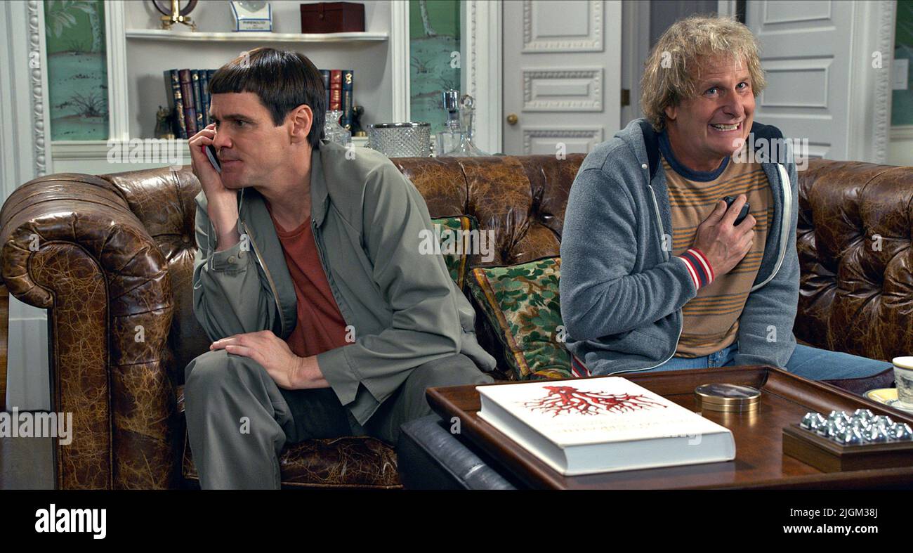 JIM CARREY, JEFF DANIELS, Dumm und Dümmer, 2014 Stockfoto