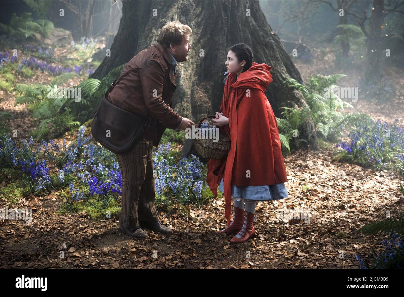 JAMES CORDEN, LILLA CRAWFORD, IN DIE WÄLDER, 2014 Stockfoto