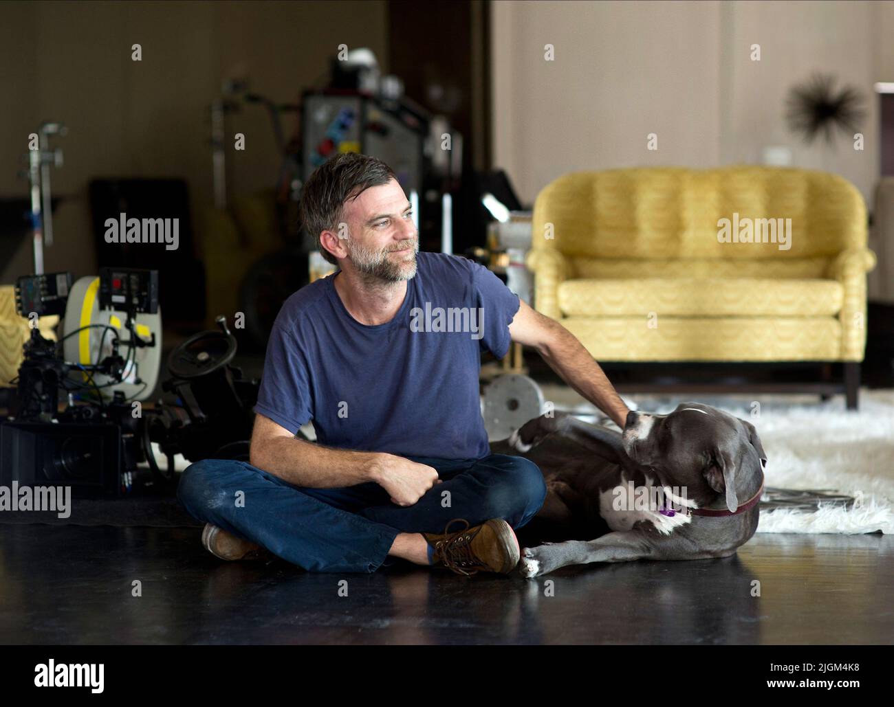 PAUL THOMAS ANDERSON, INHÄRENT VICE, 2014 Stockfoto