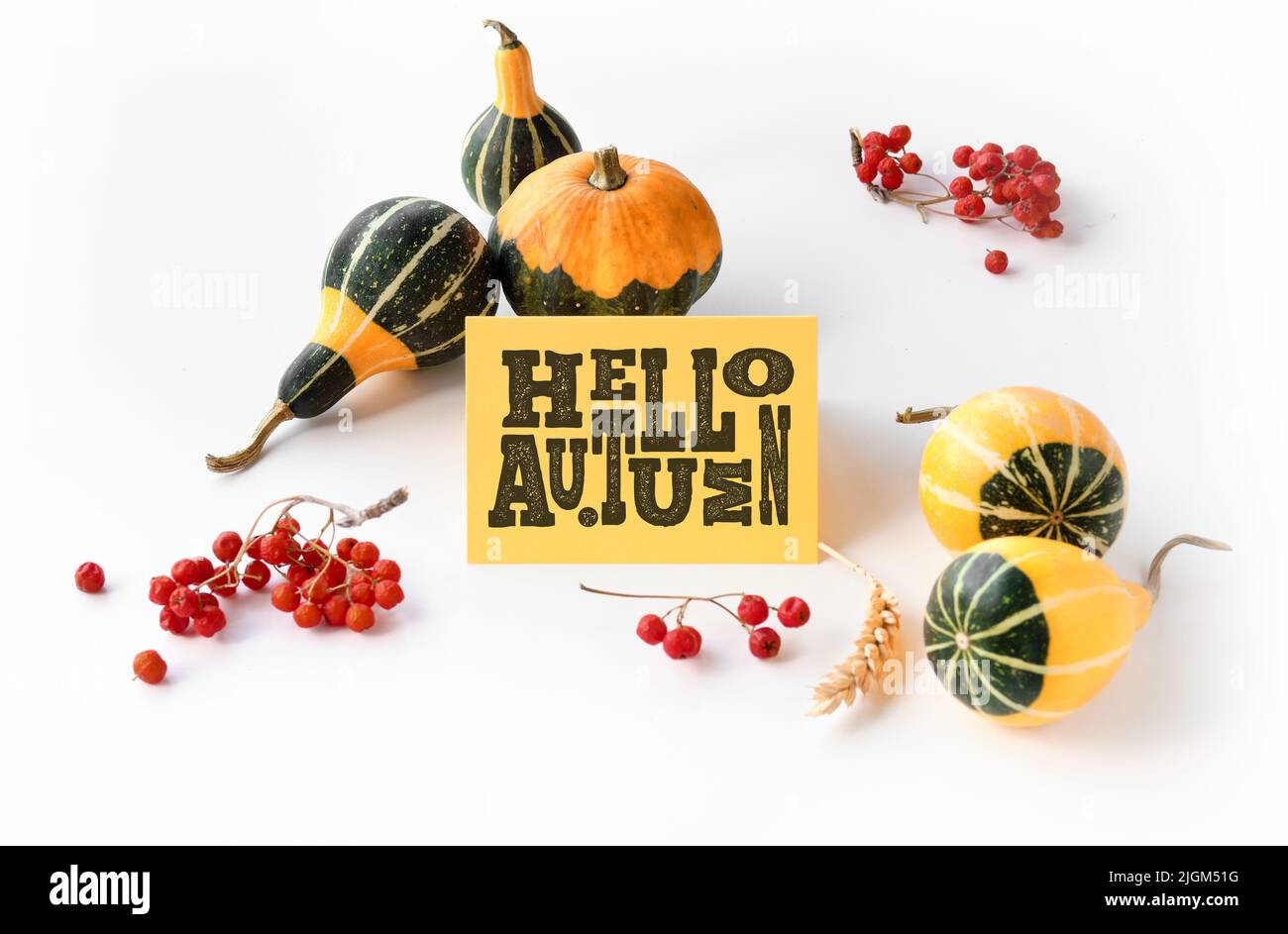 Herbstschmuck, Karte mit Text „Hallo Herbst“. Natürliche dekorative Herbstkürbisse und rote Eberesche. Stockfoto