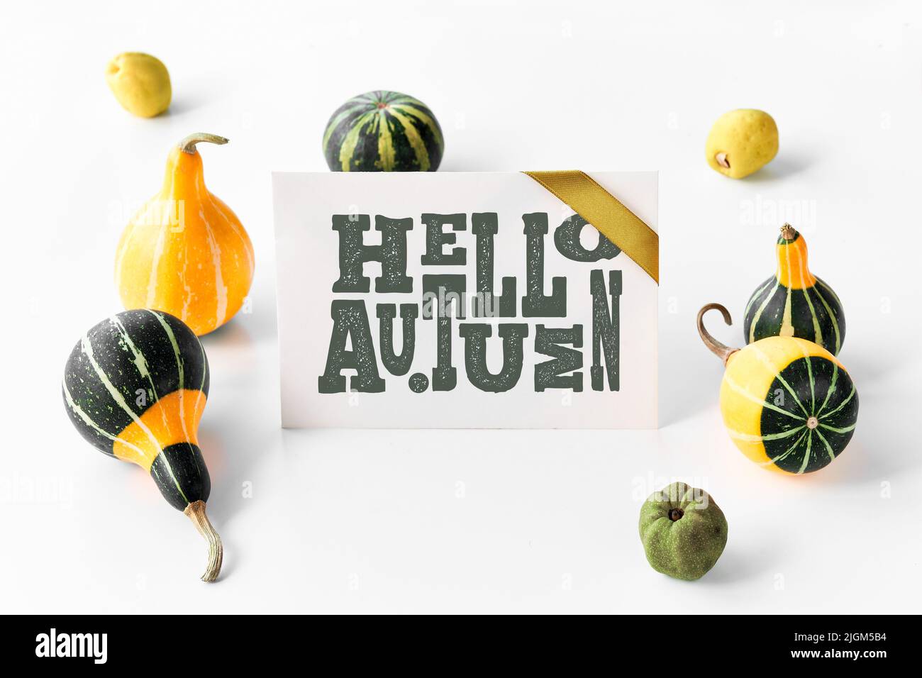 Herbstschmuck, Karte mit Text „Hallo Herbst“. Natürliche dekorative Herbstkürbisse und Quitten-Früchte. Stockfoto