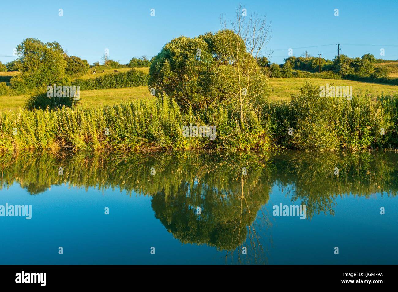 Kennet und Avon Canal, Reflections, Evening Light, Devizes, Wiltshire, Großbritannien, Englische Landschaft Stockfoto