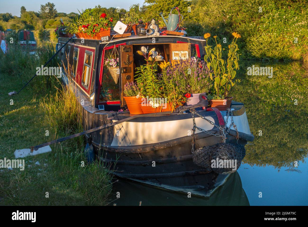 NarrowboatKanalboot, geschmückt, Blumen, Pflanzen, Abendlicht, Kennet und Avon, Kanal, Devizes, Wiltshire, England Stockfoto