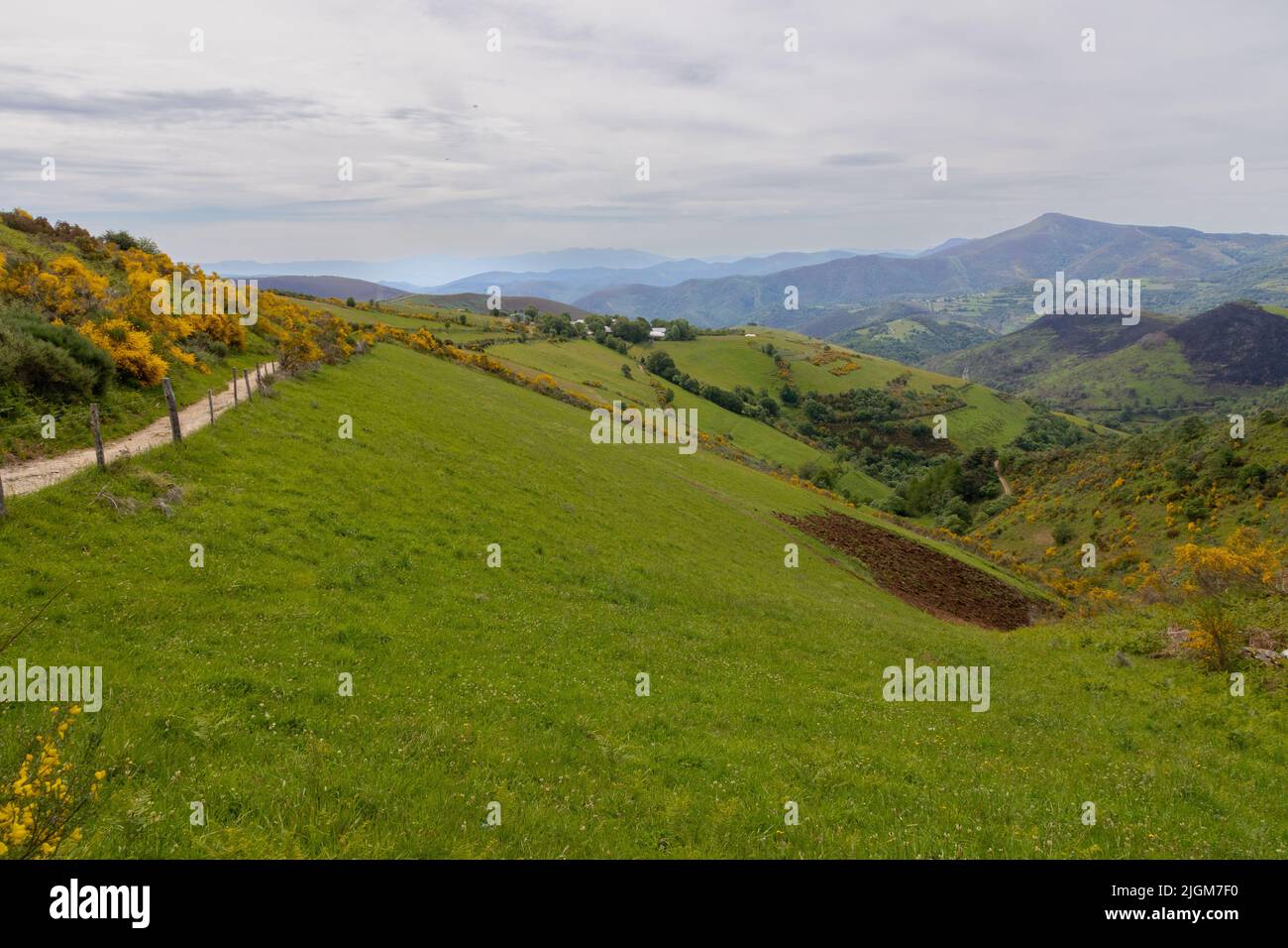 Die Straße entlang des Camino Francis, an der Grenze zwischen Kastilien/Leon und Galicien. Stockfoto