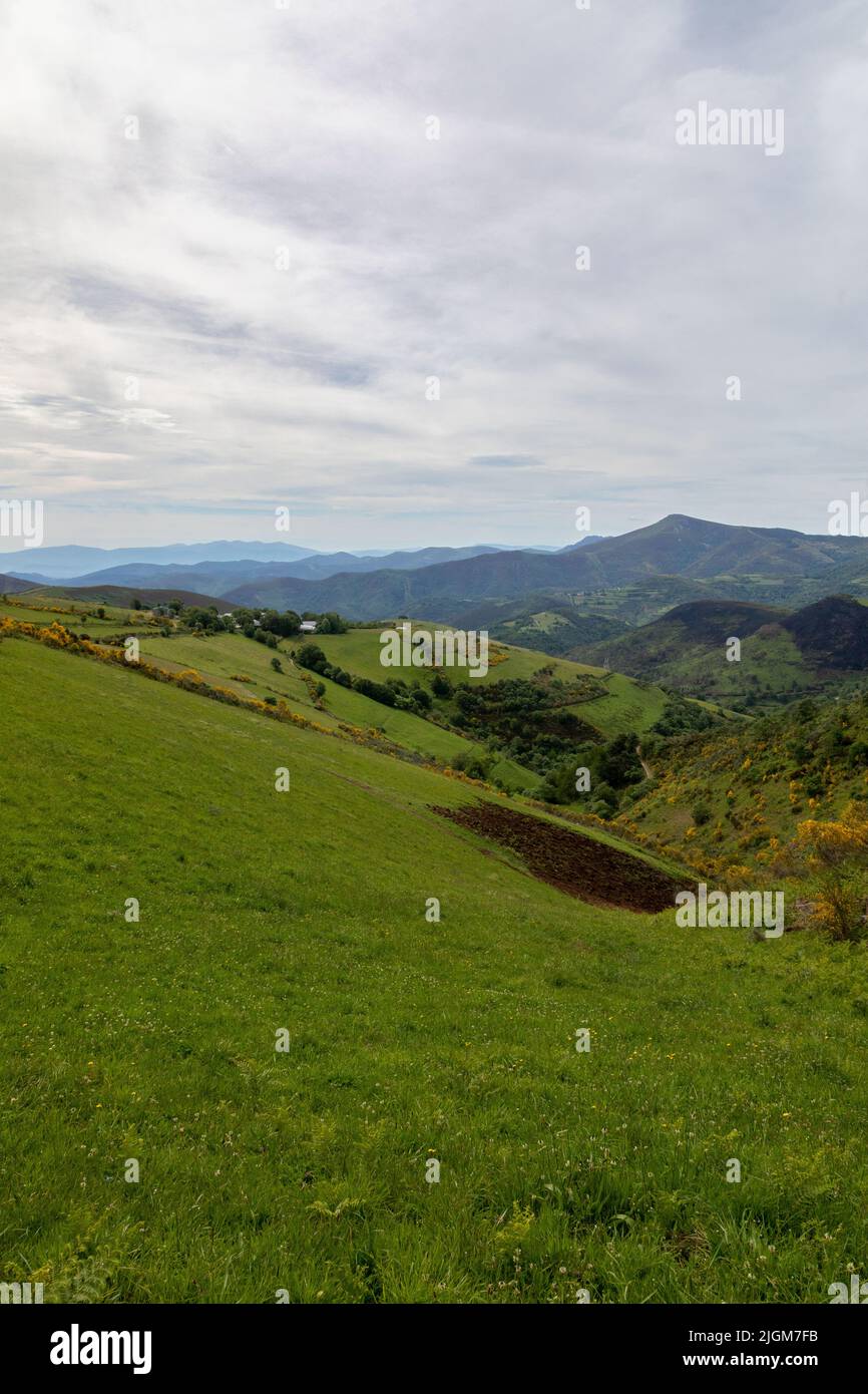 Die Straße entlang des Camino Francis, an der Grenze zwischen Kastilien/Leon und Galicien. Stockfoto