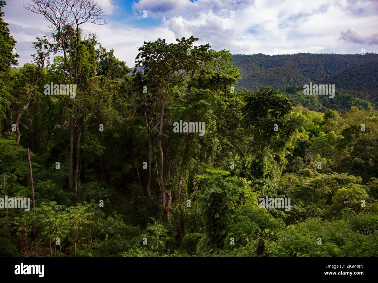Tropischer Dschungel im Srilanna Nationalpark in der Provinz Mae Taeng, nicht weit von Chiang Mai, Thailand Stockfoto