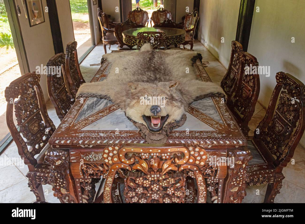 Möbel und Wolfskelle im SCHWARZEN HAUS oder Baandam Museum das Gehirnkind des thailändischen Künstlers Thawan Duchanee, das seine Kunst und Sammlung umfasst Stockfoto