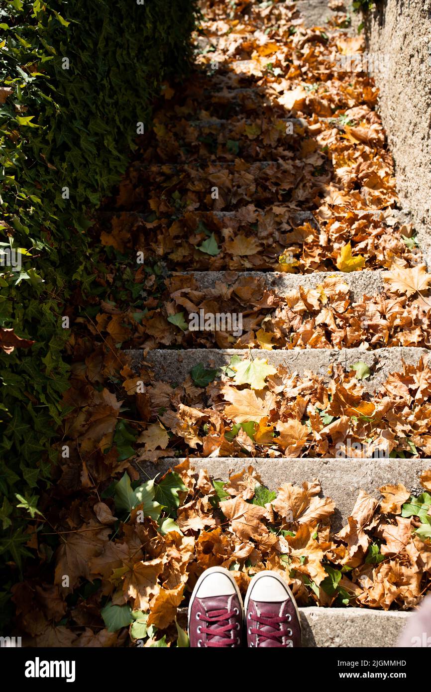 Herbstblätter auf der Steintreppe, Mann in Turnschuhen. Herbstfotos, leuchtende Farben. Vertikales Foto. Stockfoto