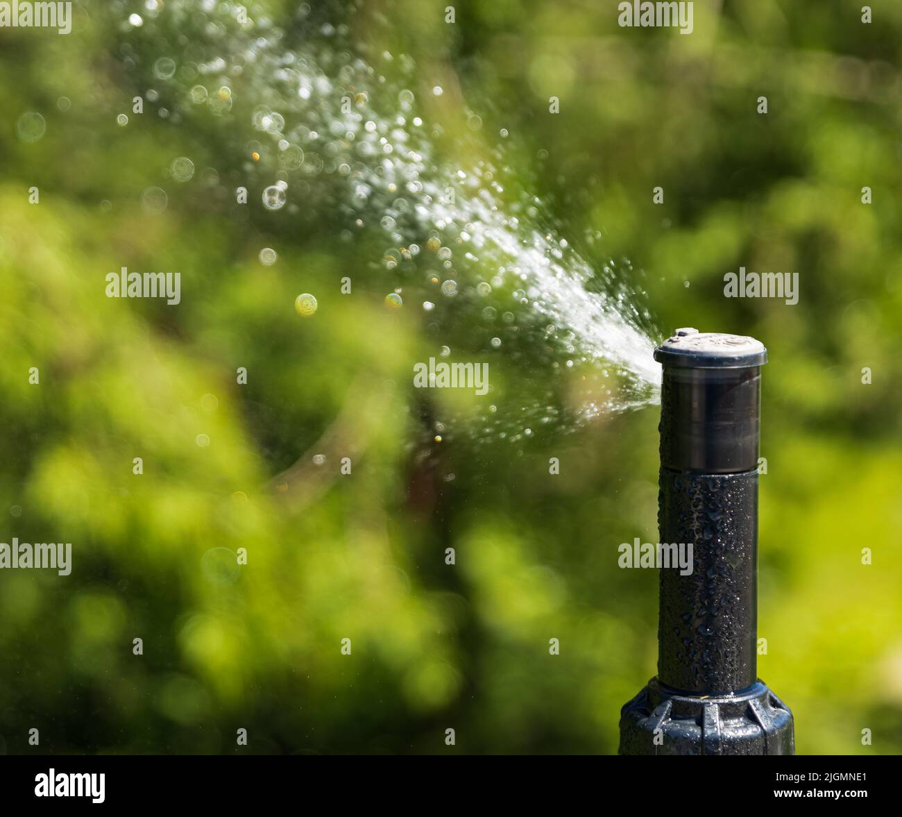 Automatische Sprinkler zur Bewässerung von Gras Bewässerungssysteme Für Den Garten. Bewässerungssystem Bewässerung des grünen Grases. Bewässerung der Sprinkleranlage im Wohngebiet Stockfoto