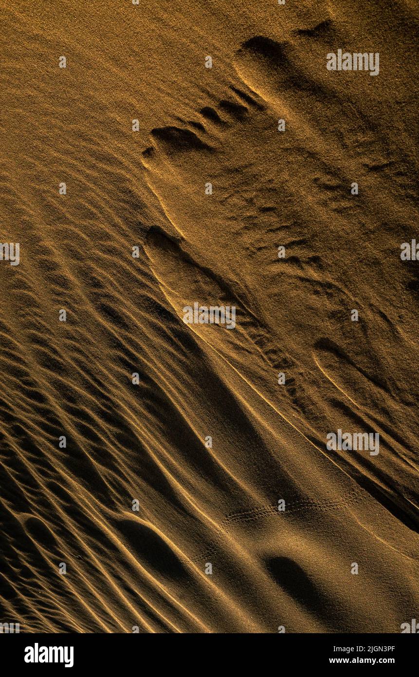 Goldschicht-Muster aus Sanddünen Stockfoto