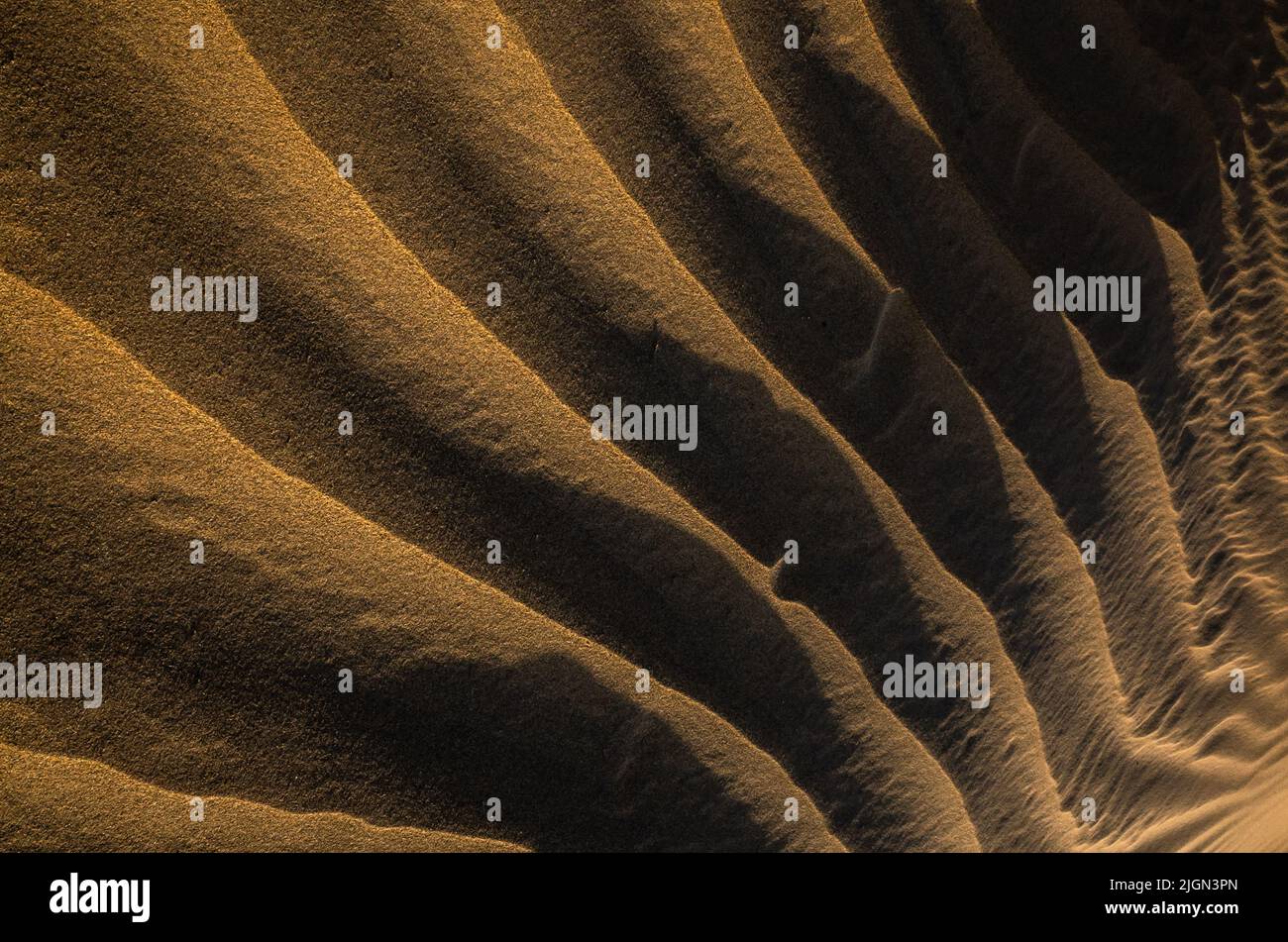 Goldschicht-Muster aus Sanddünen Stockfoto