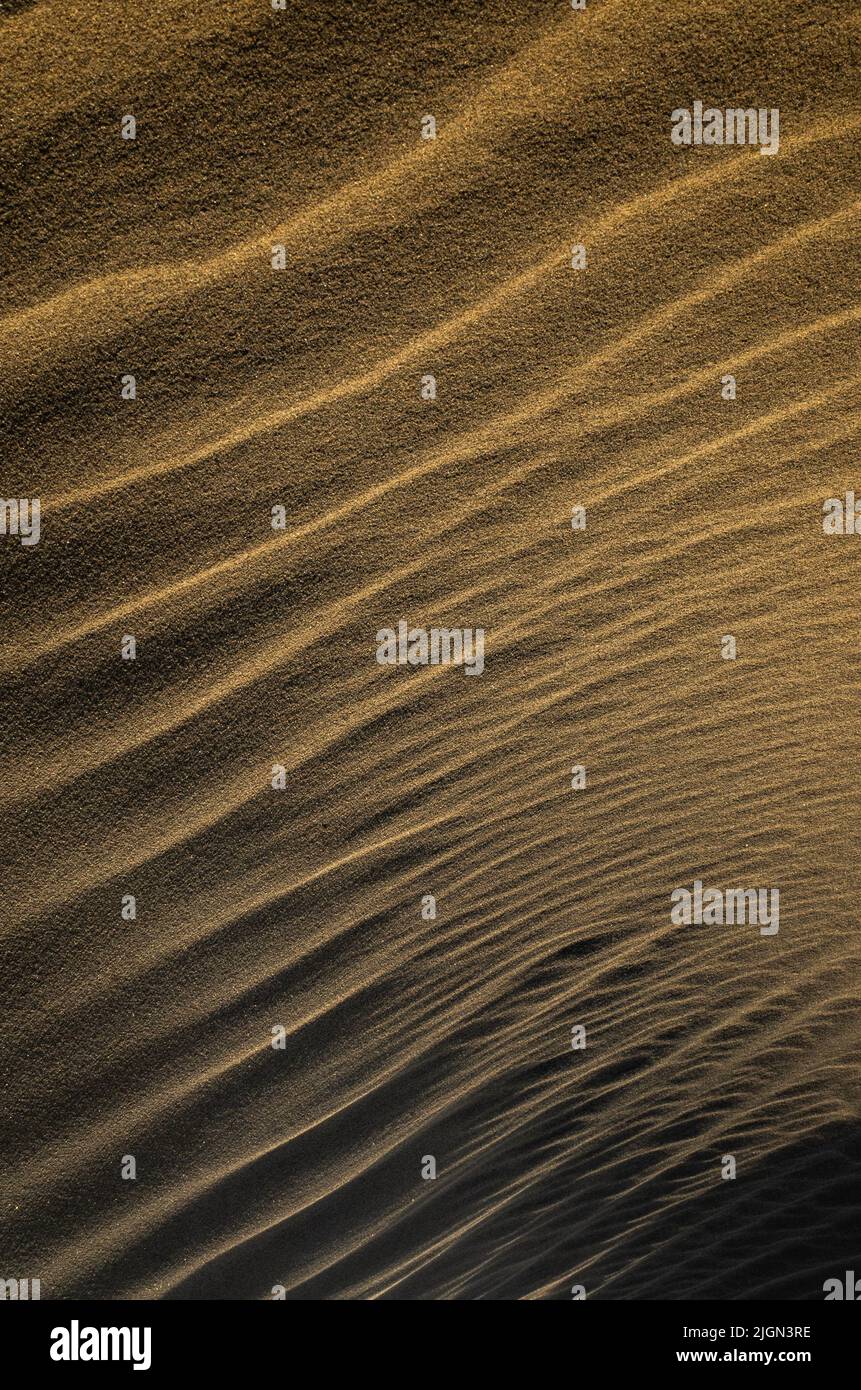 Goldschicht-Muster aus Sanddünen Stockfoto