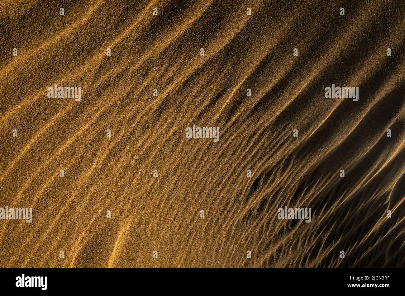 Goldschicht-Muster aus Sanddünen Stockfoto