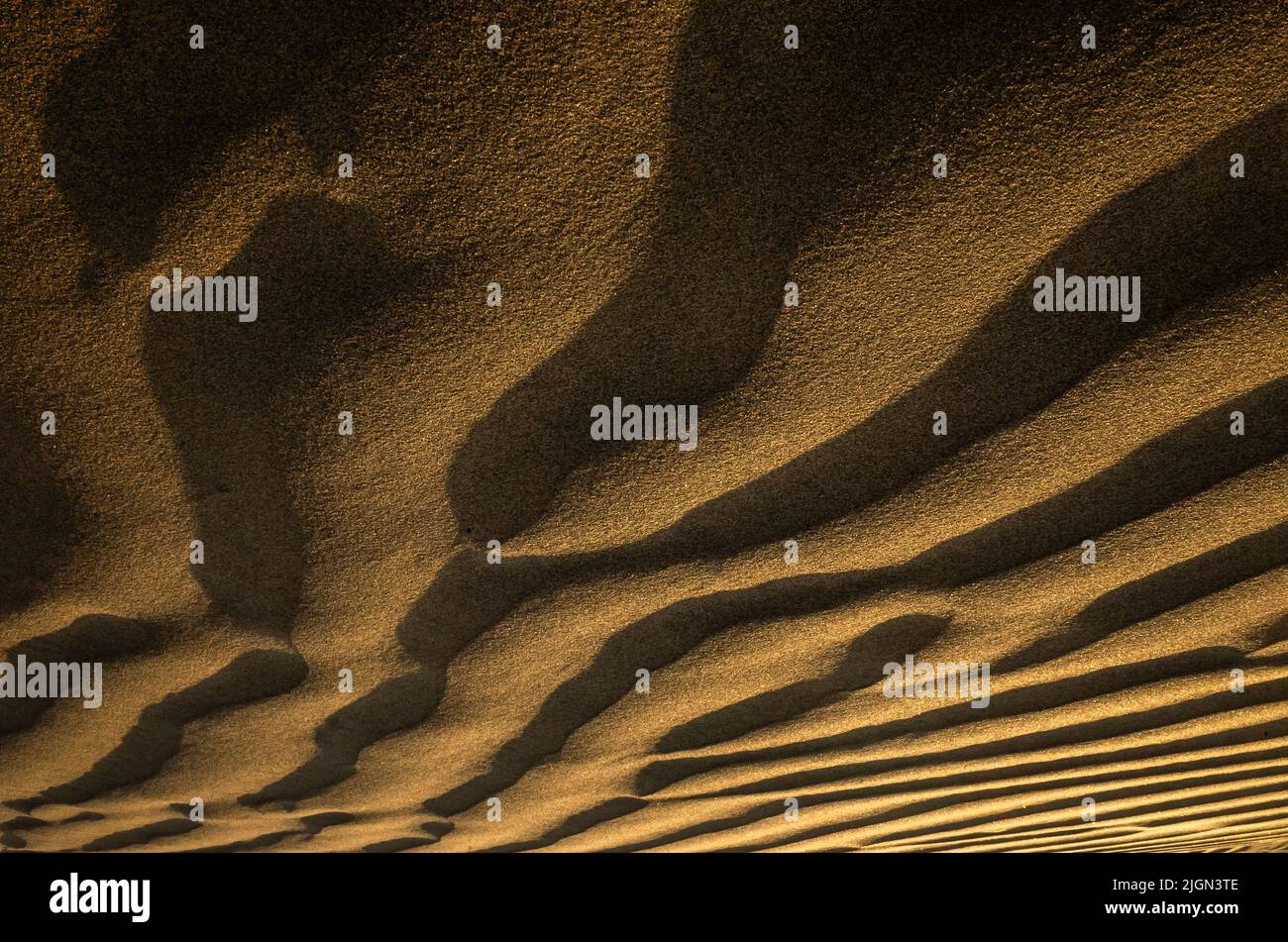 Goldschicht-Muster aus Sanddünen Stockfoto