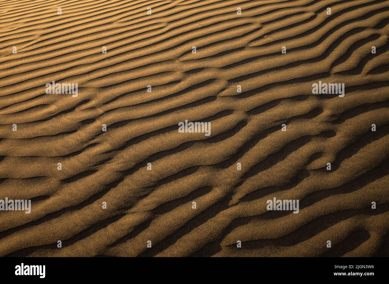 Goldschicht-Muster aus Sanddünen Stockfoto