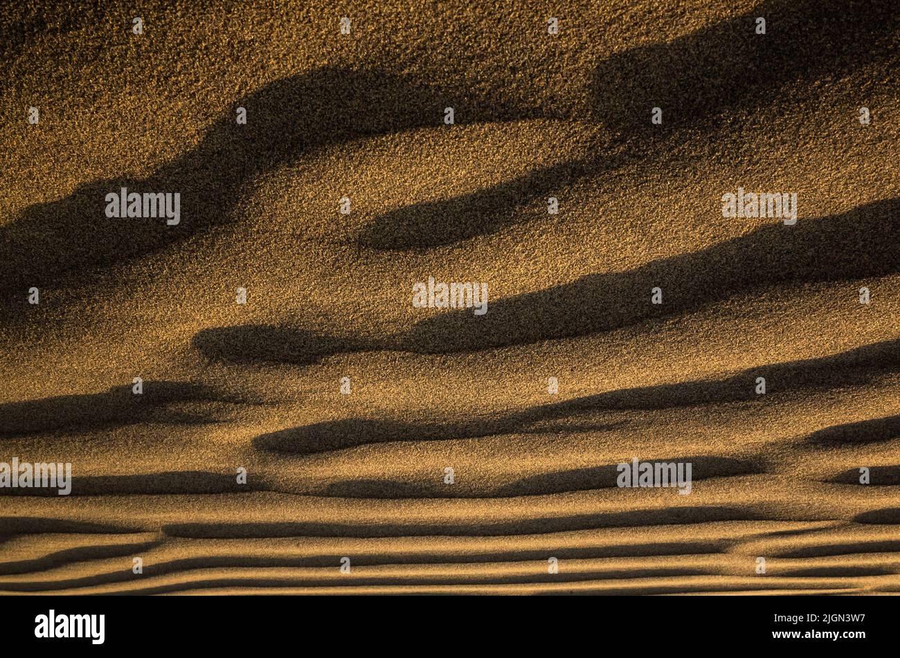 Goldschicht-Muster aus Sanddünen Stockfoto