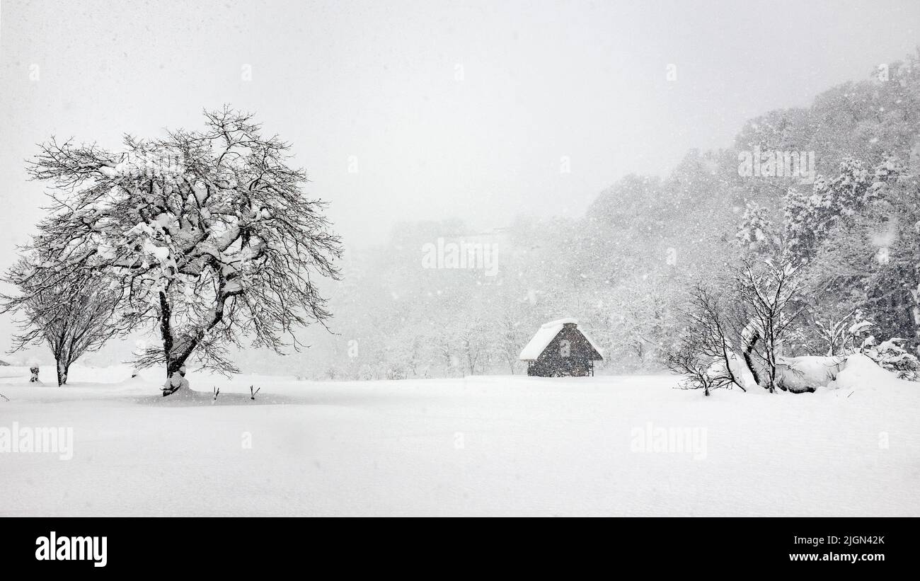 Holzhaus in der Mitte von Baum und Schnee, Wintersaison Stockfoto