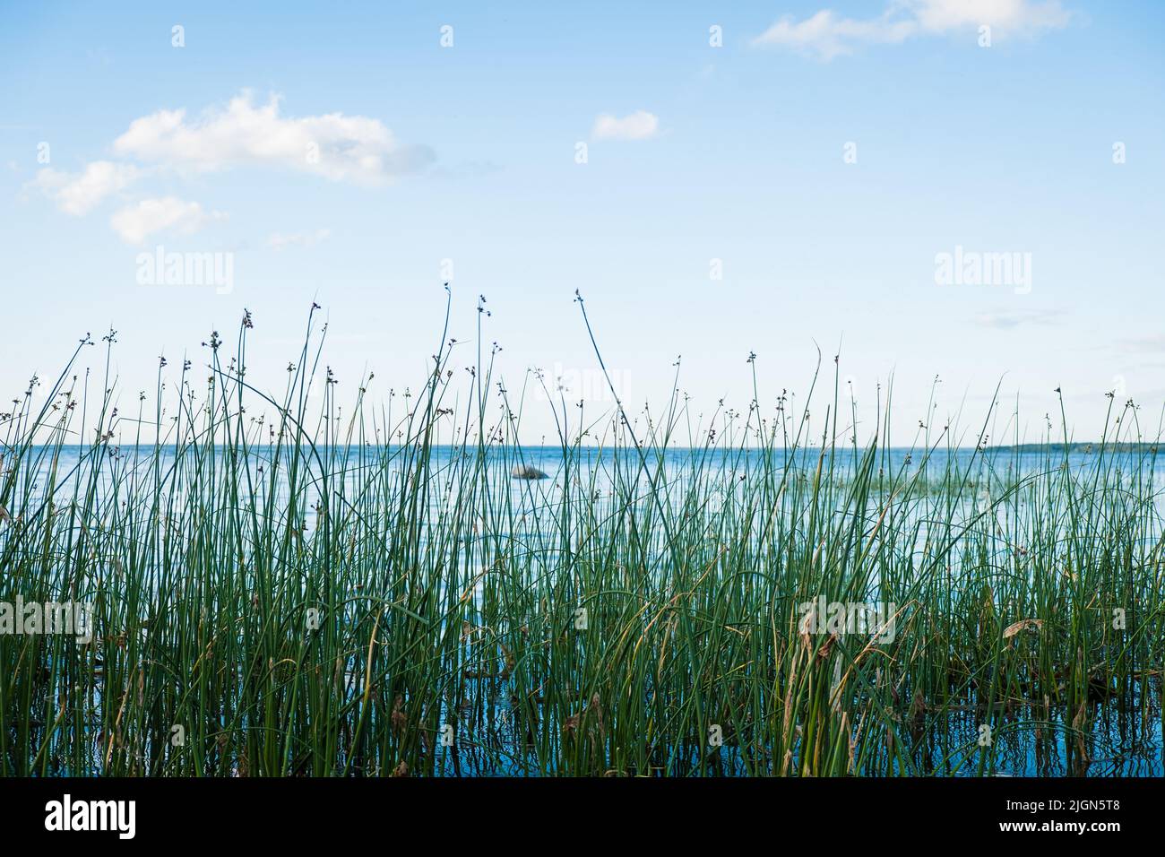 Schöne Natur Hintergrund Szene an einem Strand während des Sommers tagsüber. Stockfoto