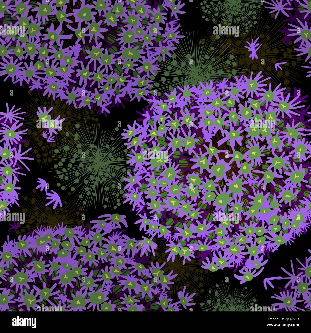 Nahtlose Muster lila Zwiebel Blumen auf einem dunklen Hintergrund. Vektorgrafik Stock Vektor
