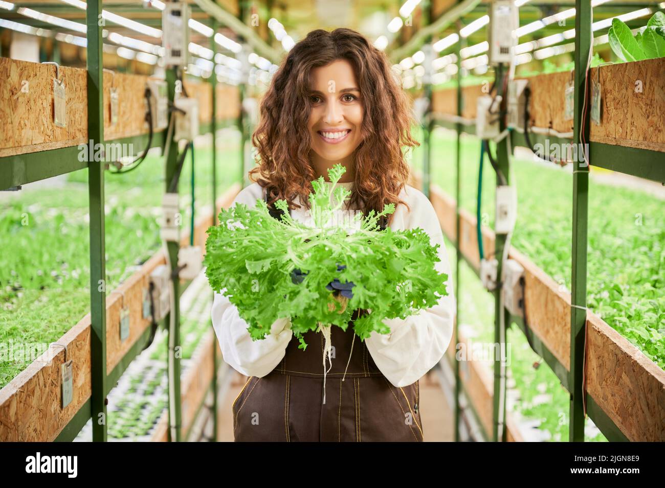 Fröhliche Gärtnerin, die die Kamera anschaut und lächelt, während sie die grüne Blattpflanze hält. Junge Frau, die im Gang zwischen Regalen mit Pflanzen im Gewächshaus steht. Stockfoto
