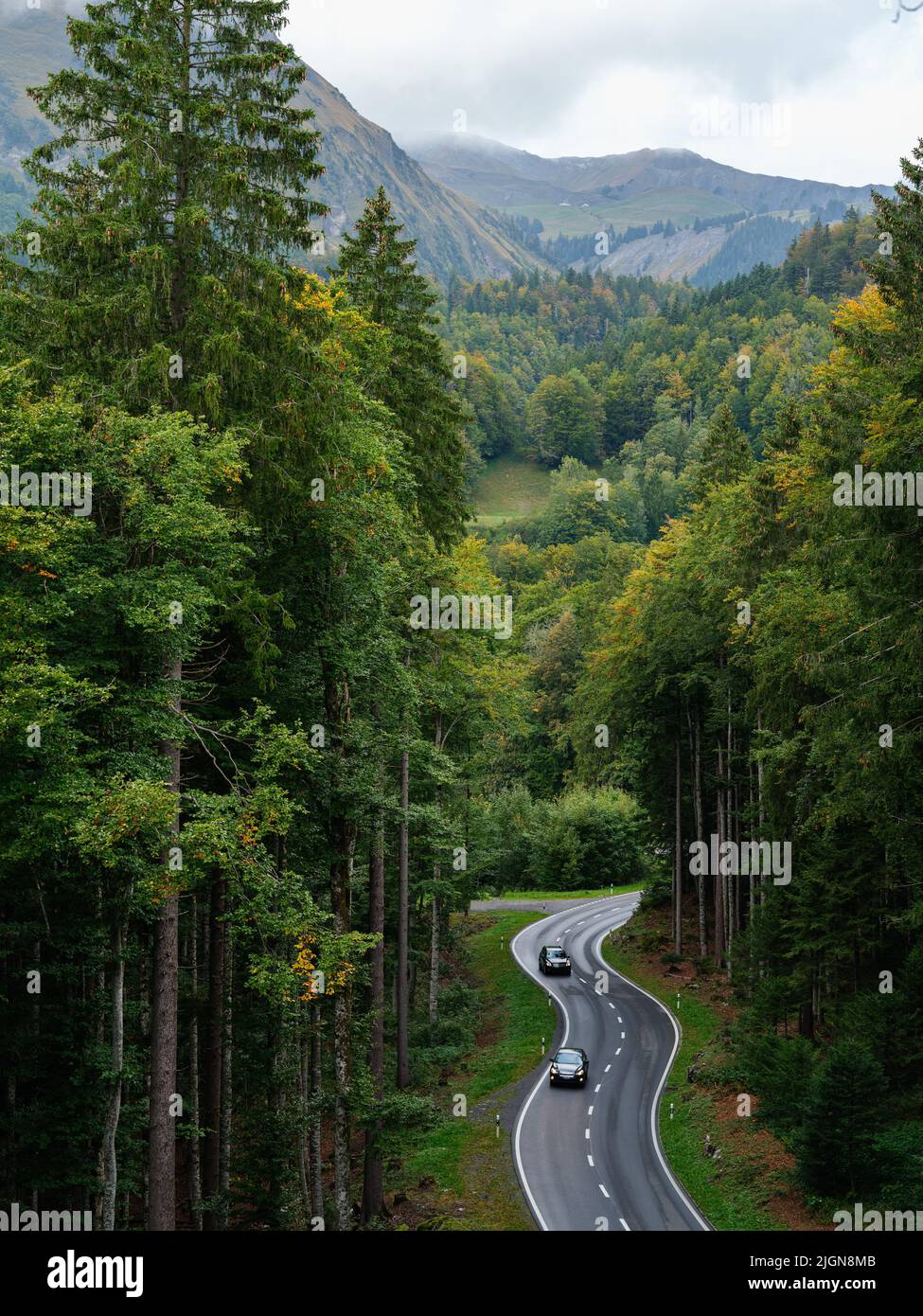 Draufsicht auf ein sich bewegendes Auto mit Bewegungsunschärfe-Effekt. Transport auf einer Forststraße im Sommer. Stockfoto