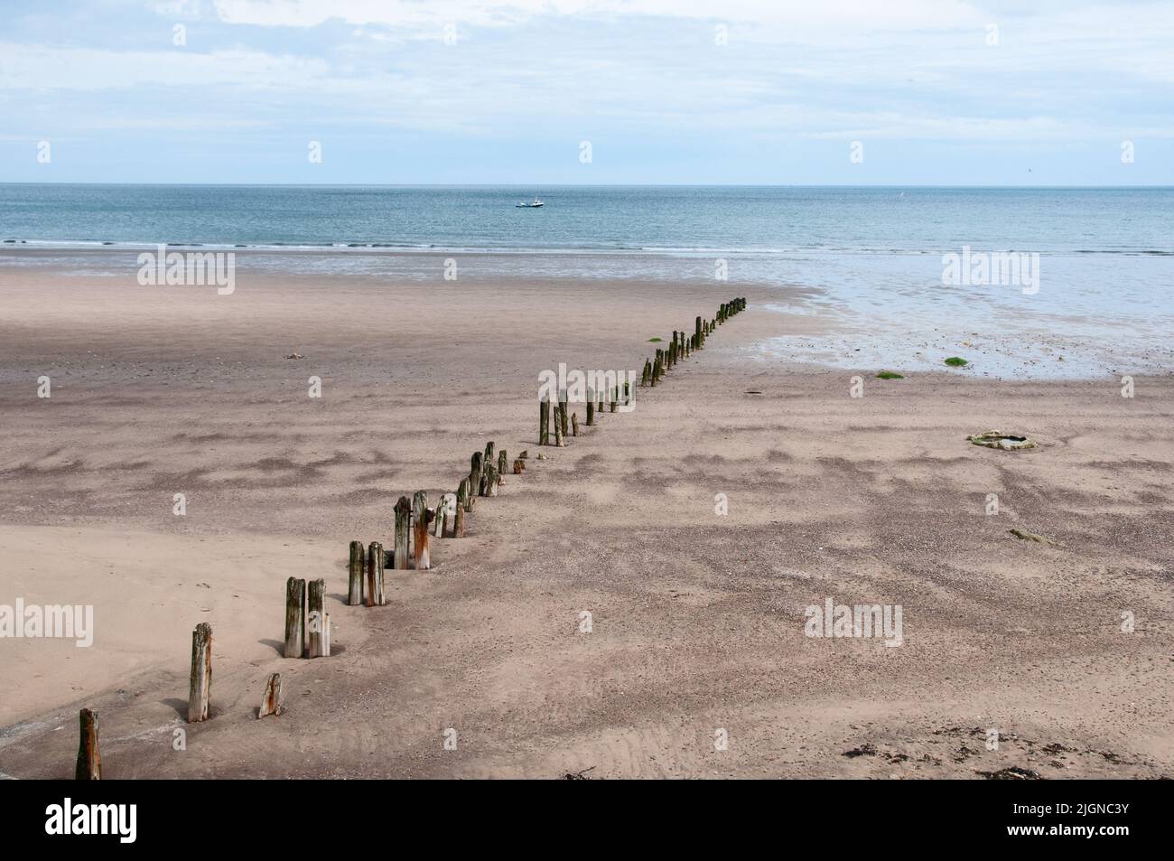 In ganz Großbritannien - Timber Groynes, Sandsend Bay, Cleveland Way, North Yorkshire, Großbritannien Stockfoto