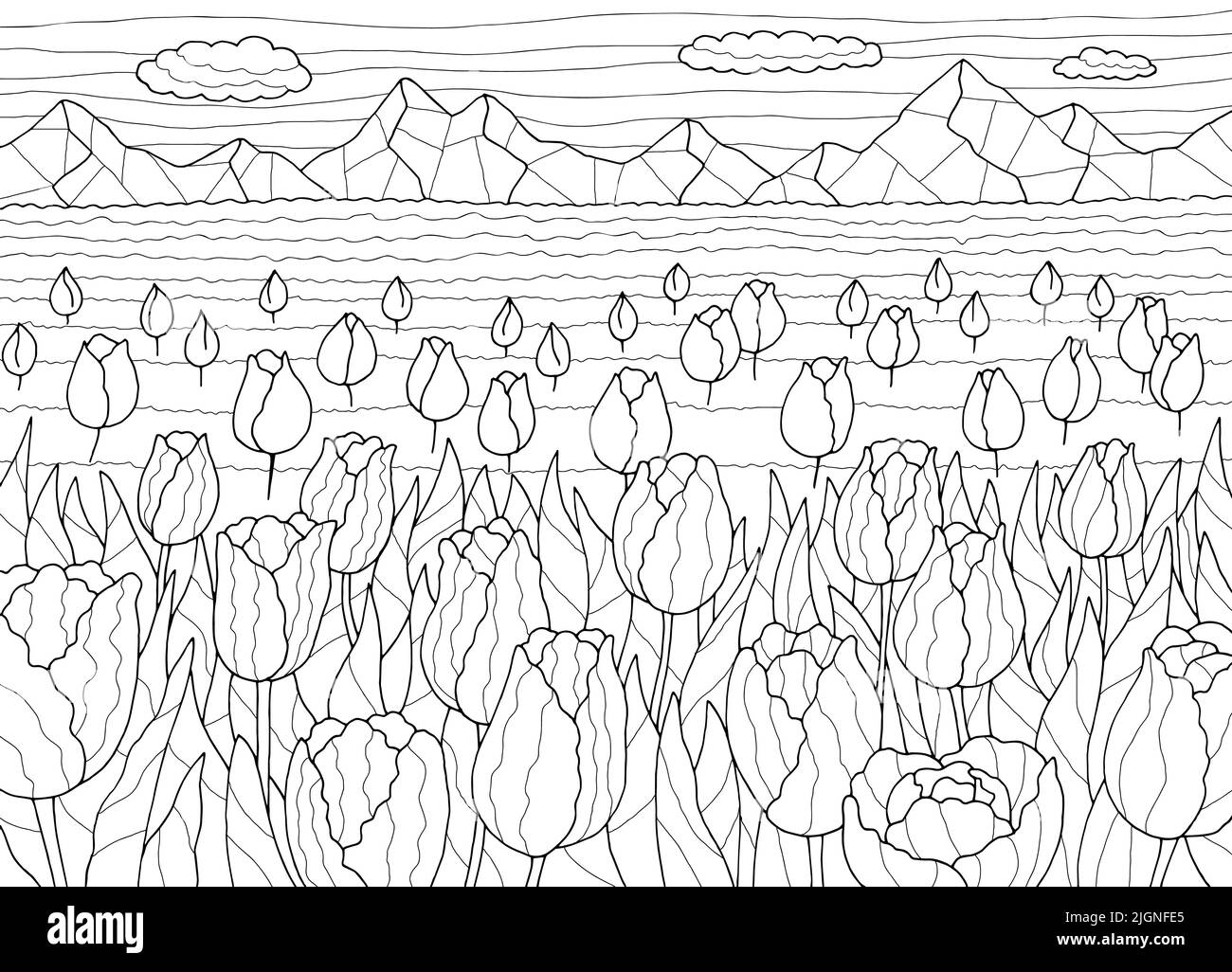 Tulip Feld Färbung Grafik schwarz weiß Landschaft Skizze Illustration Vektor Stock Vektor