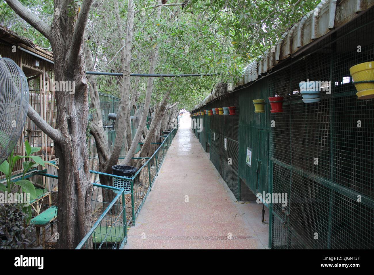 Bild eines Korridors in der Nähe der Tierkäfige, im Tierzoo Stockfoto