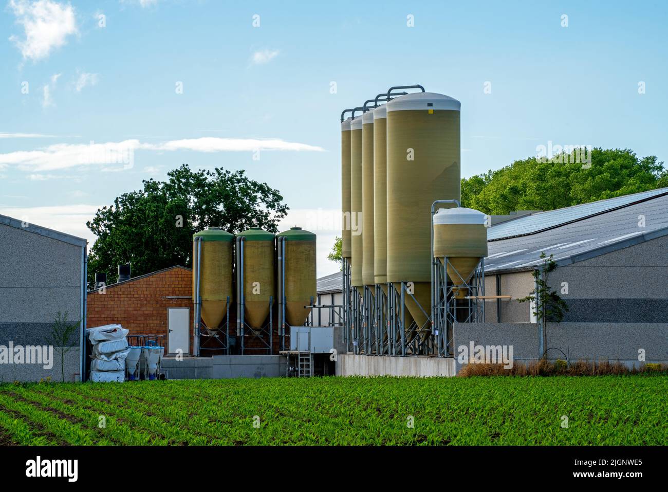 Silos mit Viehfutter auf einer Farm Stockfoto