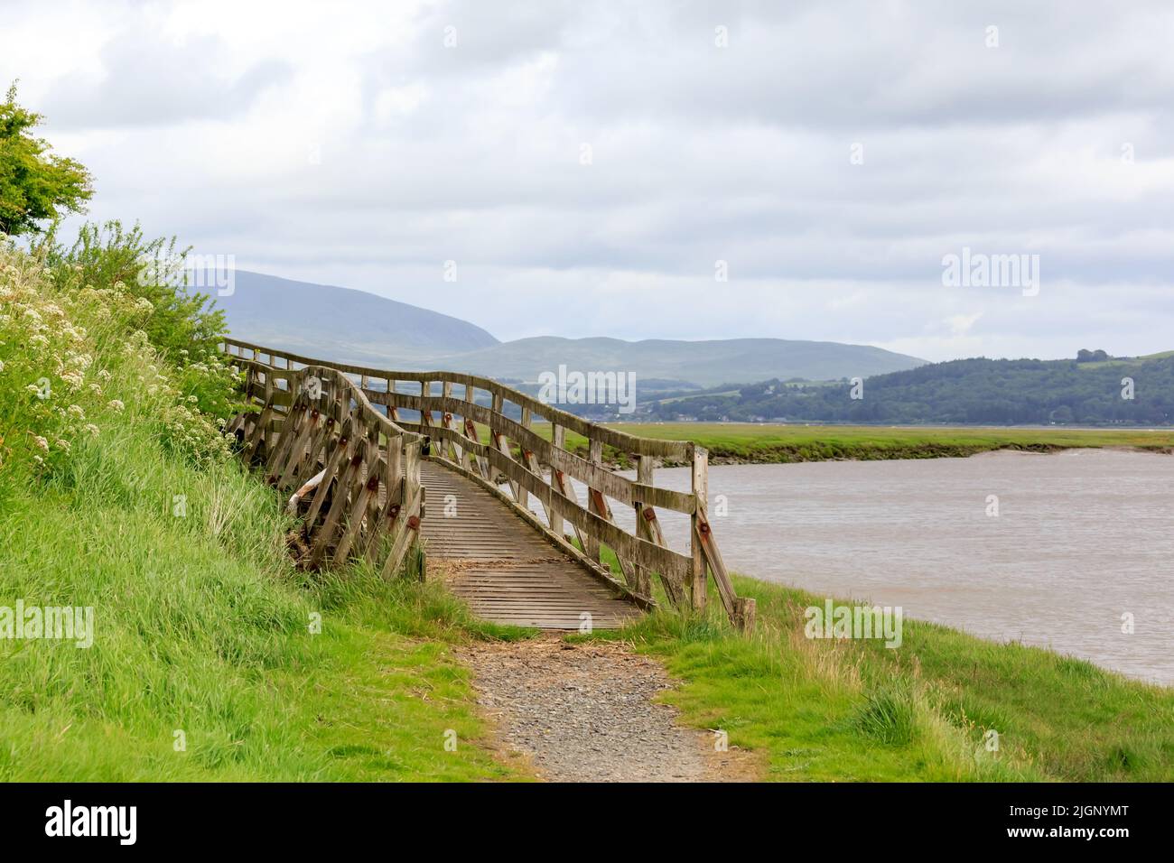 Erhöhter Holzsteg am Ufer des Flusses Bladnoch Scotland Stockfoto