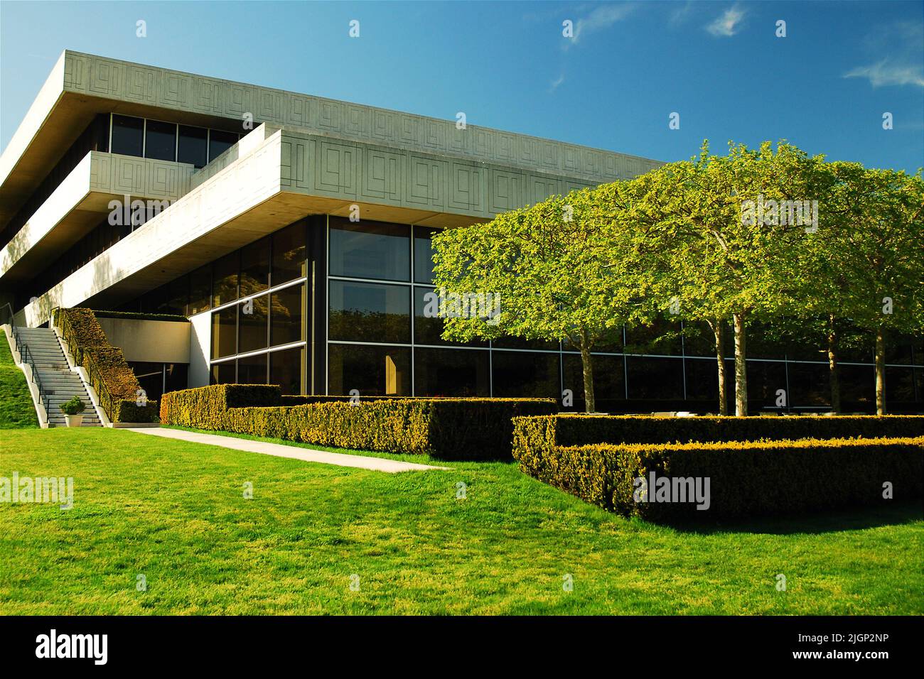 Vor dem Pepsi Cola World Headquarter stehen begrünte viereckige Bäume. Der Campus ist auch ein Arboretum und ein Skulpturengarten Stockfoto